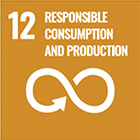 12 Responsible consumption, production