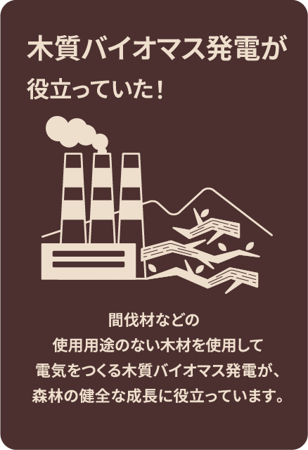 木質バイオマス発電が役立っていた！間伐材などの使用用途のない木材を使用して電気をつくる木質バイオマス発電が、森林の健全な成長に役立っています。