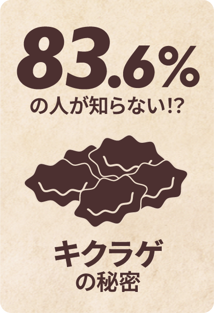 83.6%の人が知らない！？キクラゲの秘密