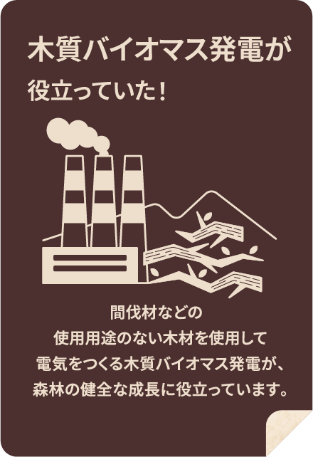 木質バイオマス発電が役立っていた！間伐材などの使用用途のない木材を使用して電気をつくる木質バイオマス発電が、森林の健全な成長に役立っています。