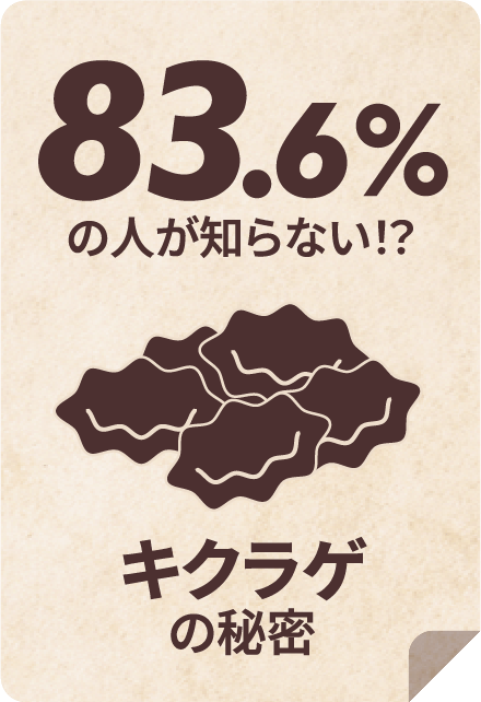 83.6%の人が知らない！？キクラゲの秘密